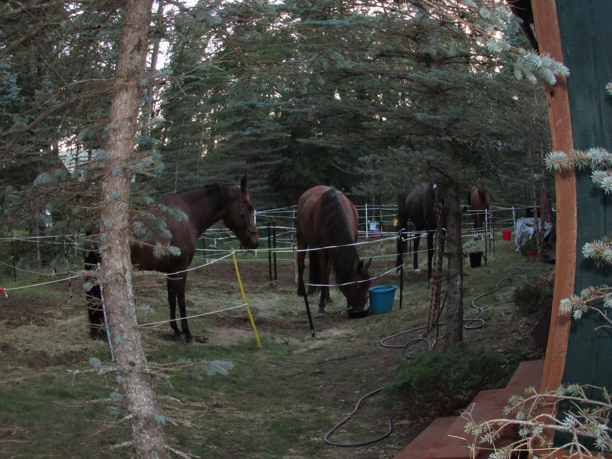 Best Bear Lodge & Campground Irons Bagian luar foto